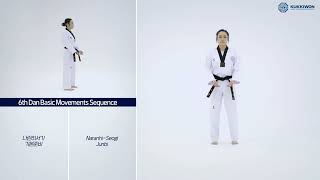 6th Dan Basic Movements (Sequence)