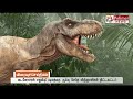 recreating the life of dinosaurs is a impossible mission says scientist polimer news