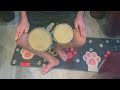 How To Play Bongo! Everything You Need to Know To Get Started!