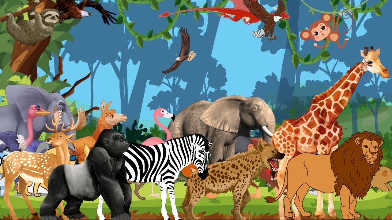 Abc Animals Song Sound Safari Animals Sounds 220625 Nursery Rhymes