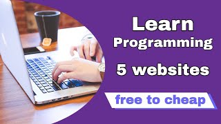 5 Options to Learn Programming