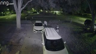 When the Lights Come On, These Car Snoops Scatter | RingTV