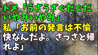 【スカッとひろゆき】トメ「うざうざぐだぐだいやみいやみ」 私「お前の発言は不愉快なんだよ。さっさと帰れよ」