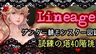 【LineageM】No.251☆竜闘士試練の塔40階挑戦！グンターでレベル上げつつモンスター図鑑頑張る♪＼(^O^)／【リネージュM】【女性配信者】【天堂M】【리니지M】