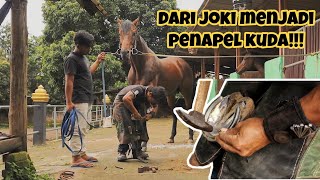 HORSESHOEING INDONESIA || PASANG SEPATU KUDA YANG BENAR !!!