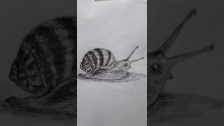 Snail Drawing Tutorial for Beginners | Super Easy!