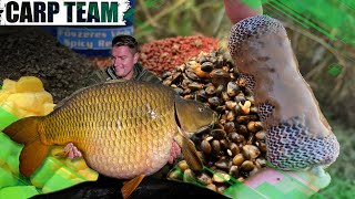 A Haldorádó Carp Team csalizási tippjei – 8. rész - Kedvenc stick mix receptem