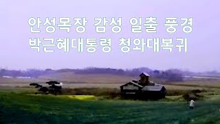 감성이 풍부한 #안성목장 새벽일출과 풍경