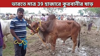 কুরবানী গরুর দাম//ভারতের গরুর হাট//মাত্র 39 হাজারে সেরা একটি ষাড় কিনে চরম খুশি ক্রেতা।