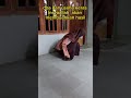 best moments ‼️ketika doa usaha bunda untuk anak anakku shorts best moments doa ibu anak