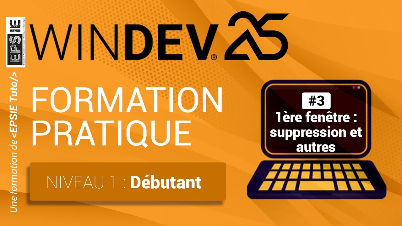 Formation Windev 25 - Niveau 1 : Débutant - Ep#3 Suppression Et Autres ...