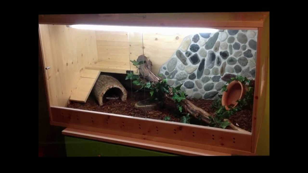 Ball Python Cage Ideas At Kelly Duppstadt Blog