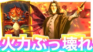 火力ぶっ壊れ新カード『赤ちゃん チャイニーズ・ファイアーボール種』で無双するスネイプデッキ【魔法の覚醒】