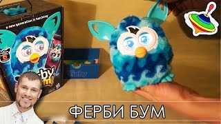 Ферби Бум 2013 вылупляется! - что в коробке?