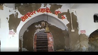 Road Trippers | Vlog 3 | Trip to Todeshwar Mahadev Mandir | Jaipur, Rajasthan