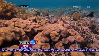 Nasib Kelam Terumbu Karang Raja Ampat yang Terlenglap di Dunia - NET24