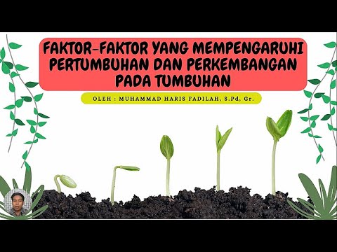 Faktor Faktor Yang Mempengaruhi Pertumbuhan Dan Perkembangan Pada ...