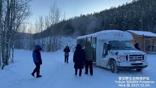 育空野生动物 Yukon Wildlife Preserve