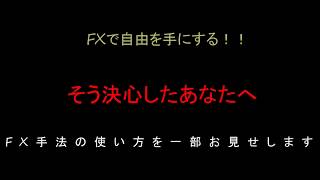 FX初心者必見！FXで自由を手に入れる方法！手法の使い方が分かります。