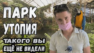 Вот почему вы должны обязательно приехать сюда. Парк Утопия. Израиль.