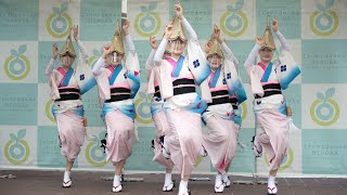 大阪天水連　2020/11/8　～withコロナの阿波おどり～　/ Awa Odori “Osaka Tensui-ren”　　　[4K]