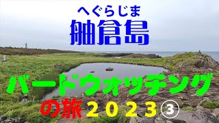 舳倉島バードウォッチングの旅２０２３③　Hegurajima island bird watching trip in Japan