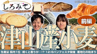 【芳醇】小麦の産地にこだわりませんか？パン好き必見のイベントが津山で開催されます！（しろみて#9）