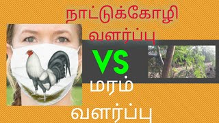 நாட்டுக்கோழி வளர்ப்பு vs மரம் வளர்ப்பு-Indian nattukozhifarm farm