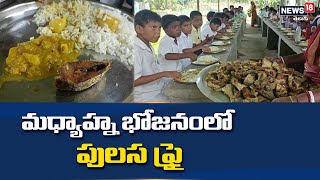 బడి పిల్లలకు మిడ్ డే మీల్స్ లో పులస చేపల ఫ్రై-తూర్పు మిడ్నాపూర్ | Mid DayMeal@Bengal | News18 Telugu