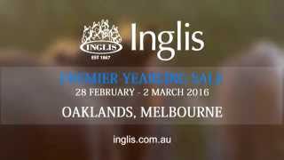 2016 Inglis Premier Yearling Sale TVC