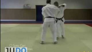 JUDO TECHNIQUES: Frederic Demontfaucon - O Soto Gari