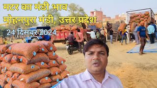 मटर का आज का मंडी भाव। मोहनपुरा मंडी उत्तर प्रदेश।Matar Rate Today.@rahulutkarshvlogs6865