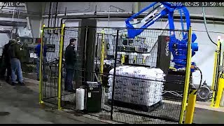 Robotic Ice Palletizers