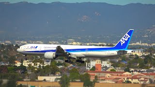 Arrival | ANA B777 (JA786A)