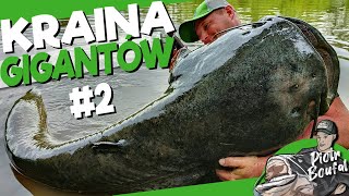 KRAINA GIGANTÓW #2 / Złowiłem REKORD SUMA na rosówki 🤯 - Sum spod drzewa - WYPRAWA NA SUMY #26