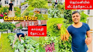 ஜெர்மனியில் வீட்டுத்தோட்டம் Garden Tour  /காய்கறி தோட்டம் Garten vlog /Germany Garden Tour In Tamil