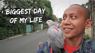 The Biggest Day of My Life Has Come | Vlog #296