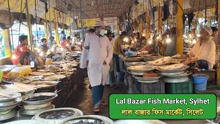 সিলেট লাল বাজার ফিস মার্কেট - Lal Bazar Fish Market - Sylhet - Daily Haat Bazar