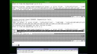Buffer Overflow Tutorial - Part 8
