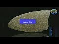 هذه هي أغلى أنواع نيازك الأكوندريت... شاهد و استفد