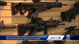 Second Amendment Sanctuary counties