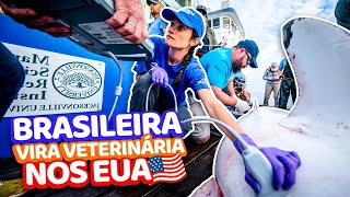 BRASILEIRA VIRA VETERINÁRIA NOS EUA 🇺🇸 E CUIDA DE TUBARÕES NO SEAWORLD