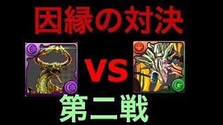 彼は同じ相手に二度負けない　ニコル　パズドラ