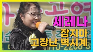 세레나 - 잡지마, 고장난 벽시계  #옥빛예술단 #사랑나눔공연 #태양버스킹연합회