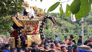 令和6年 松原八幡神社 灘のけんか祭り 秋季例大祭 本宮