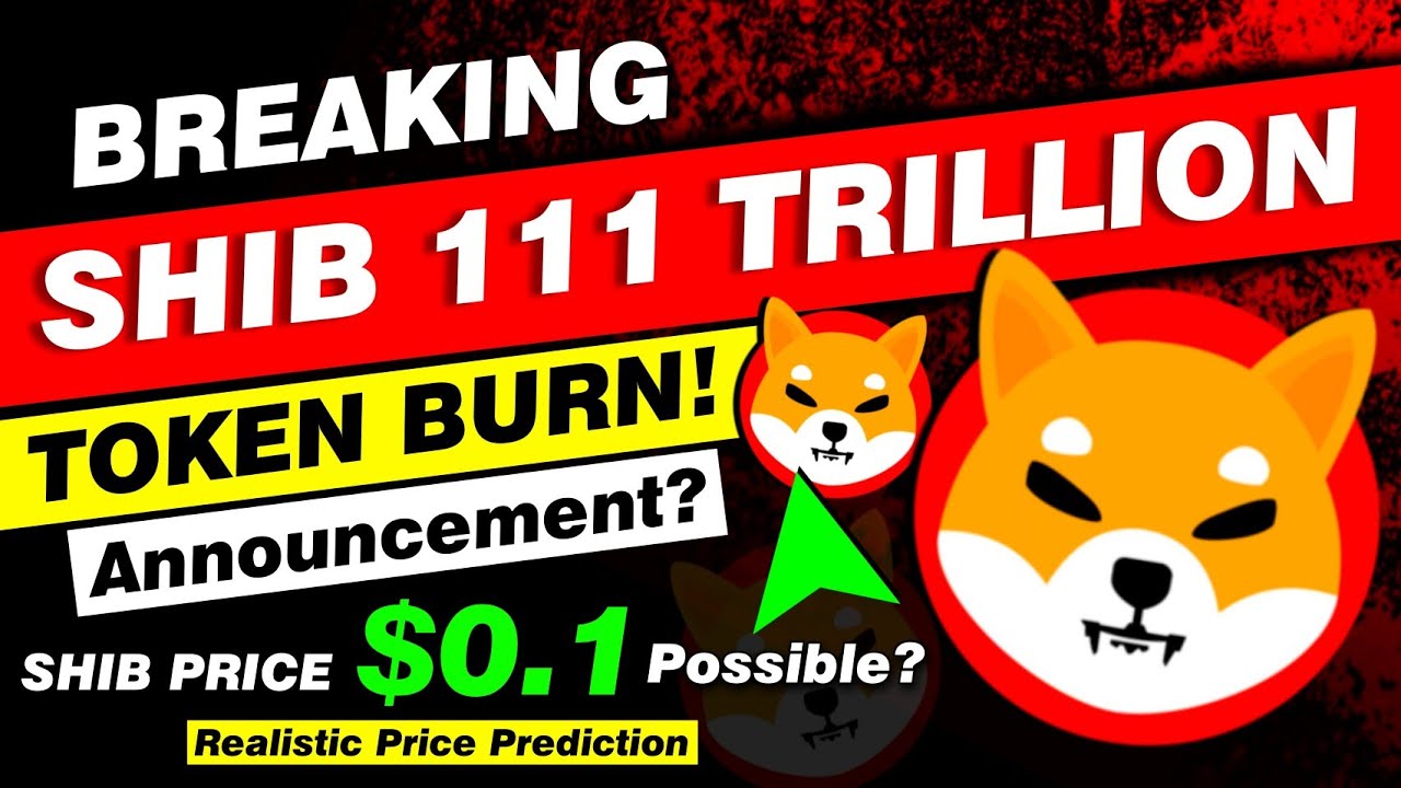 Shiba Inu BIG NEWS | 111 Trillion Tokens Annual Burn? - SHIB PRICE $0.1 ...