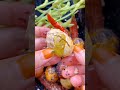 Food Small vlog | Chinese Street Tasty food 🥑🥝🍄🍉🍎🍭🍬#Shorts#shortvideo #viralshorts 🍫🍬🍪🍩🍿