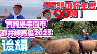 宮崎県串間市「都井岬馬追」後編2023