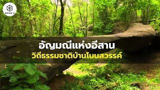 อัญมณีแห่งอีสาน วิถีธรรมชาติบ้านโนนสวรรค์ | กระจกหกด้าน ตอน “บ้านโนนสวรรค์”