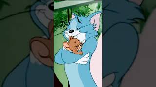 Tom And Jerry  #status #tomandjerry#cartoon
